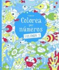 colorea por numeros 2-9781409572923 colorea por numeros 2-9781409572923