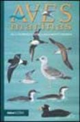 aves marinas de la peninsula iberica, baleares y canarias-andrew paters-9788480123723 aves marinas de la peninsula iberica, baleares y canarias-andrew paters-9788480123723