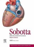 sobotta: atlas de anatomia humana (vol.2) (23ª ed): anatomia de los organos internos-jens waschke-9788480868723 sobotta: atlas de anatomia humana (vol.2) (23ª ed): anatomia de los organos internos-jens waschke-9788480868723