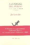 caligrafia del fuego: la poesia de pere gimferrer (1962 - 2001)-jose luis rey-9788481917123 caligrafia del fuego: la poesia de pere gimferrer (1962 - 2001)-jose luis rey-9788481917123