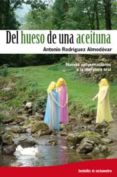 del hueso de una aceituna: nuevas aproximaciones a la literatura oral-antonio rodriguez almodovar-9788499210223 del hueso de una aceituna: nuevas aproximaciones a la literatura oral-antonio rodriguez almodovar-9788499210223