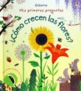 como crecen las flores-katie daynes-9781474908733 como crecen las flores-katie daynes-9781474908733