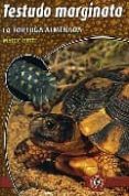 testudo marginata: la tortuga almenada-9788493418533 testudo marginata: la tortuga almenada-9788493418533