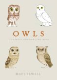 Owls-2910884-otro-formato