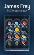 mille morceaux -james frey-9782290117743 mille morceaux -james frey-9782290117743