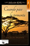 Cuando pase la tormenta-2992965-otro-formato