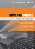numeros gordos en el proyecto de estructuras (nueva edicion revisada)-juan carlos arroyo portero-9788493227043 numeros gordos en el proyecto de estructuras (nueva edicion revisada)-juan carlos arroyo portero-9788493227043
