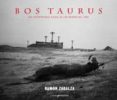bos taurus (cartone)-ramon zabalza ramos-9788494198243 bos taurus (cartone)-ramon zabalza ramos-9788494198243