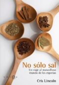 no solo sal: dale sabor a tus platos con especias-lincoln maria cristina-9788496599543 no solo sal: dale sabor a tus platos con especias-lincoln maria cristina-9788496599543