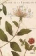 herbier de la renaissance-claudia swan-9782830704853 herbier de la renaissance-claudia swan-9782830704853