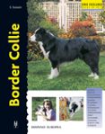 border collie-estephen sussam-9788425513053 border collie-estephen sussam-9788425513053