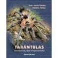 tarantulas: introuccion, guia y reproduccion-frederin cleton-jean-michel verdez-9788460799153 tarantulas: introuccion, guia y reproduccion-frederin cleton-jean-michel verdez-9788460799153