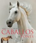 caballos y ponis-9788467713053 caballos y ponis-9788467713053