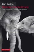mentes maravillosas (ebook)-carl safina-9788481095753 mentes maravillosas (ebook)-carl safina-9788481095753