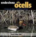 ENDEVINEU ELS OCELLS-826558-otro-formato