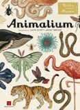 animalium-jenny broom-9788415979463 animalium-jenny broom-9788415979463