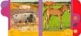 las crias de la granja (toca y descubre)-9788499137063 las crias de la granja (toca y descubre)-9788499137063