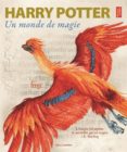 harry potter: un monde de magie-j.k. rowling-9782075105873 harry potter: un monde de magie-j.k. rowling-9782075105873