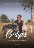 galgos, una pasion incontrolable-9788417295073 galgos, una pasion incontrolable-9788417295073