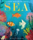 SEA-16771754-otro-formato