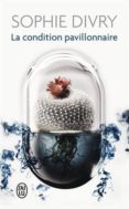 la condition pavillonnaire-sophie divry-9782290112083 la condition pavillonnaire-sophie divry-9782290112083