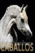caballos: todo el temperamento y la elegancia en las fotografias de caballos-gabrielle boiselle-9788466216883 caballos: todo el temperamento y la elegancia en las fotografias de caballos-gabrielle boiselle-9788466216883