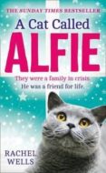 a cat called alfie-rachel wells-9780008142193 a cat called alfie-rachel wells-9780008142193