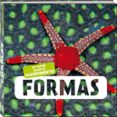FORMAS (MI PRIMER ALBUM DE DESCUBRIMIENTOS)-10091741-otro-formato