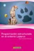 programación estructurada en el entorno lazarus-david arboledas birhuega-9788426721693 programación estructurada en el entorno lazarus-david arboledas birhuega-9788426721693