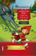 caperucita roja: ¿dónde se ha metido el lobo?-roberto santiago-9788468324593 caperucita roja: ¿dónde se ha metido el lobo?-roberto santiago-9788468324593