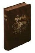 sagrada biblia-9788471892393 sagrada biblia-9788471892393