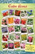 entre flores-belen dorado-9788493928193 entre flores-belen dorado-9788493928193