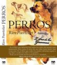 Perros-2621615-otro-formato