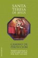 camino de perfeccion (ebook)-9788493812263 camino de perfeccion (ebook) 9788493812263
