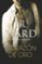corazon de oro-j.r. ward-9788415962403 corazon de oro j.r. ward 9788415962403