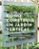 cómo construir un jardín vertical (ebook)-martin staffler-9788425230073 cómo construir un jardín vertical (ebook) martin staffler 9788425230073