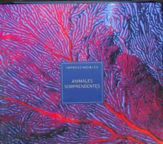 Portada de ANIMALES SORPRENDENTES (IMPRESCINDIBLES).