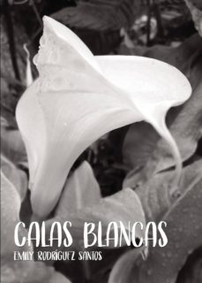 Descargar libros gratis en línea para kindle CALAS BLANCAS in Spanish FB2 9788417808273