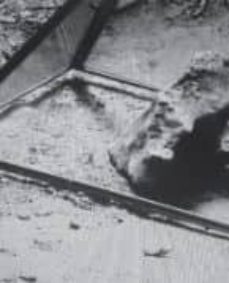 Portada de DAVID FERRANDO GIRAUT: THE FANTASIST