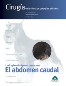 Bestseller books 2018 descarga gratuita CIRUGIA EN LA CLINICA DE PEQUEÑOS ANIMALES. EL ABDOMEN CAUDAL 9788493473693 in Spanish