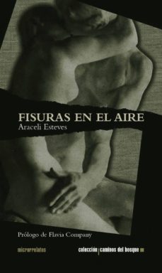 Libros gratis en línea para leer descargas. FISURAS EN EL AIRE de ARACELI ESTEVES iBook DJVU 9788493670993 in Spanish
