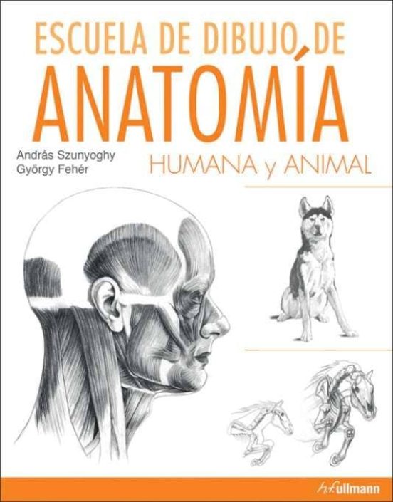 Escuela De Dibujo De Anatomia Humana Y Animal Andras Szunyoghy Casa