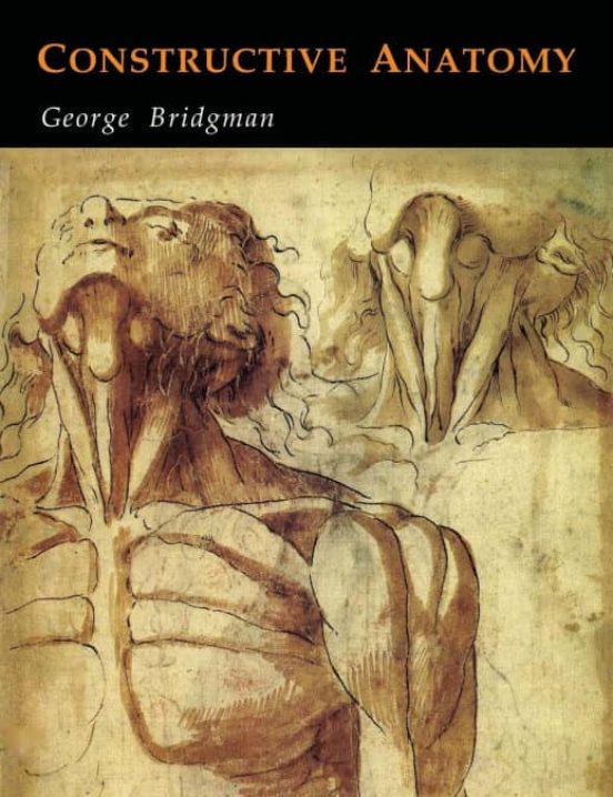 CONSTRUCTIVE ANATOMY | GEORGE B. BRIDGMAN- | Casa Del Libro