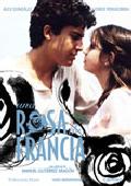 una rosa de francia (dvd)-8436027572343 una rosa de francia (dvd)-8436027572343