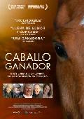 caballo ganador (dvd)-8437010738173 caballo ganador (dvd)-8437010738173