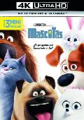mascotas (4k uhd+blu-ray)-8414533102674 mascotas (4k uhd+blu-ray)-8414533102674