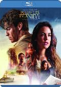 palmeras en la nieve (blu-ray)-8420266005694 palmeras en la nieve (blu-ray)-8420266005694